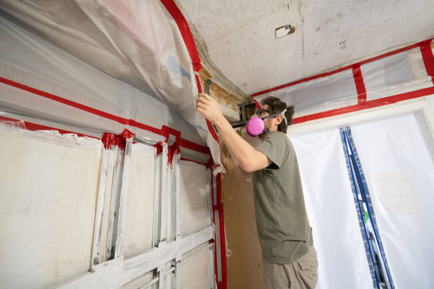 Best Black Mold Removal  in Sandusky, MI