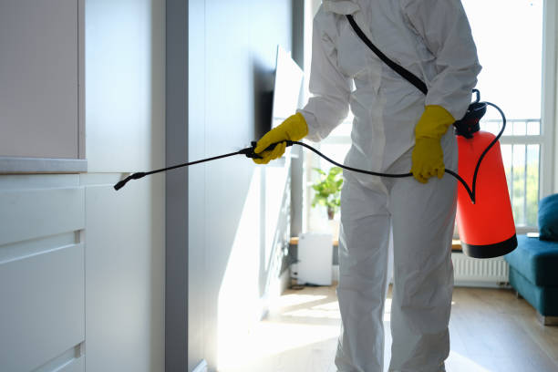 Best Commercial Mold Inspection  in Sandusky, MI