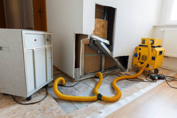 Best Comprehensive Air Testing for Mold Contaminants  in Sandusky, MI
